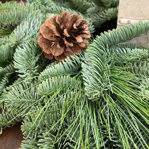 Meet your Posher, Carly